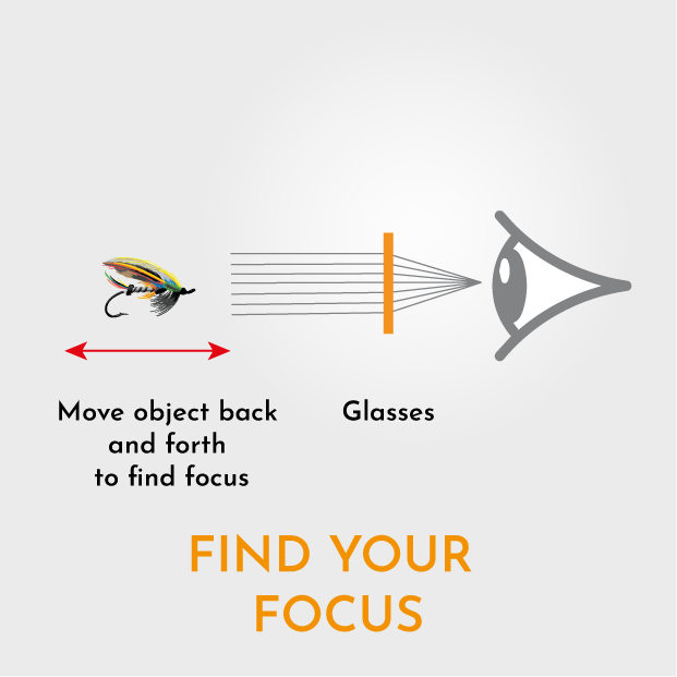 Get focus on what you see with glasses from Hippo Eyewear